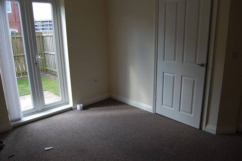 Brookfield West Allotment